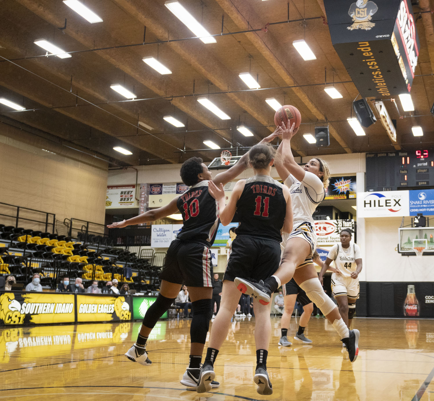 Women's basketball - Casper College Vs. CSI